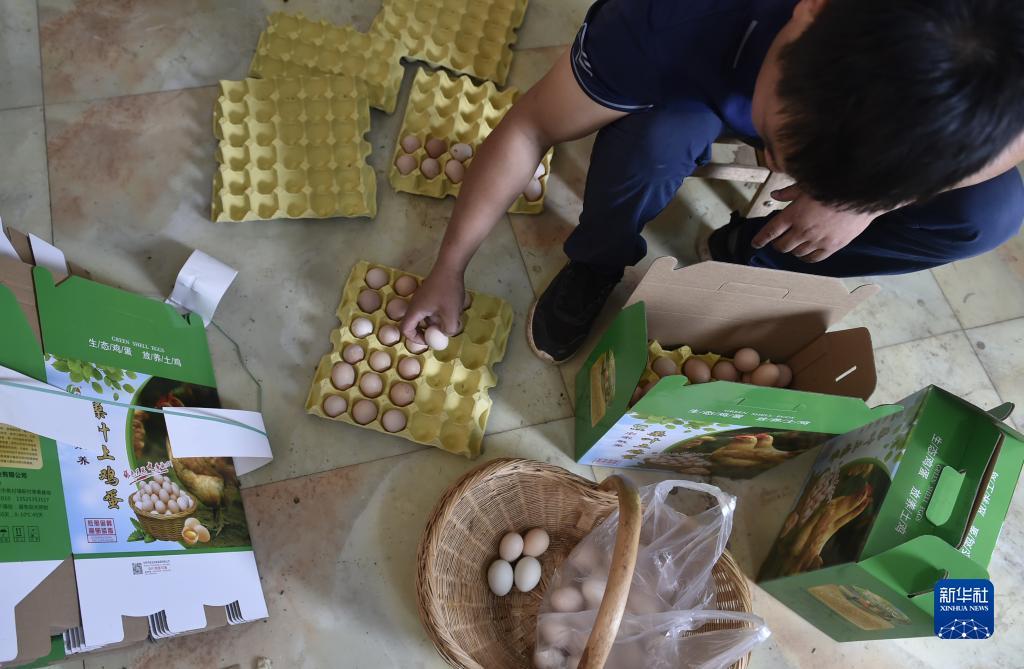 手机港式五张哪个棋牌可以玩